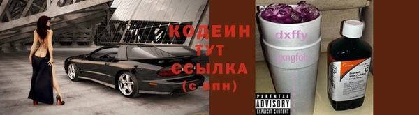 крисы Армянск