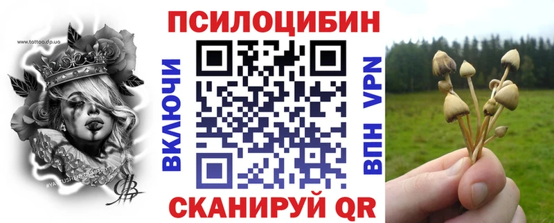 купить наркотик  Билибино  Галлюциногенные грибы Psilocybe 